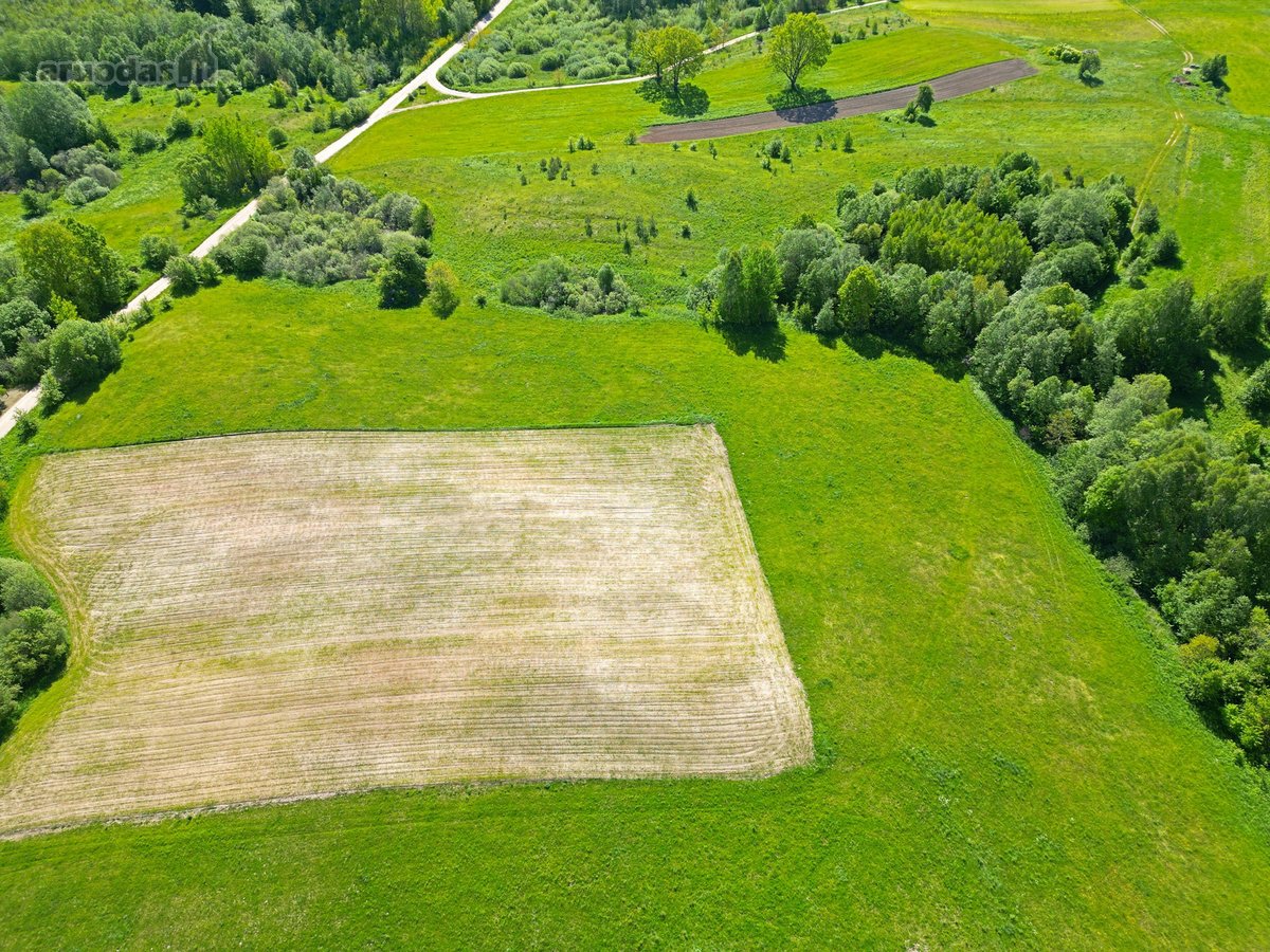 Parduodamas 2,4057 ha Žemės ūkio paskirties - nuotraukos Nr. 3