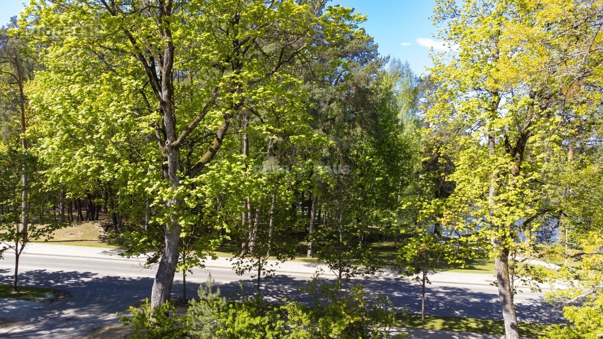 Gyventi ir poilsiauti Druskininkuose, reiškia - nuotraukos Nr. 26