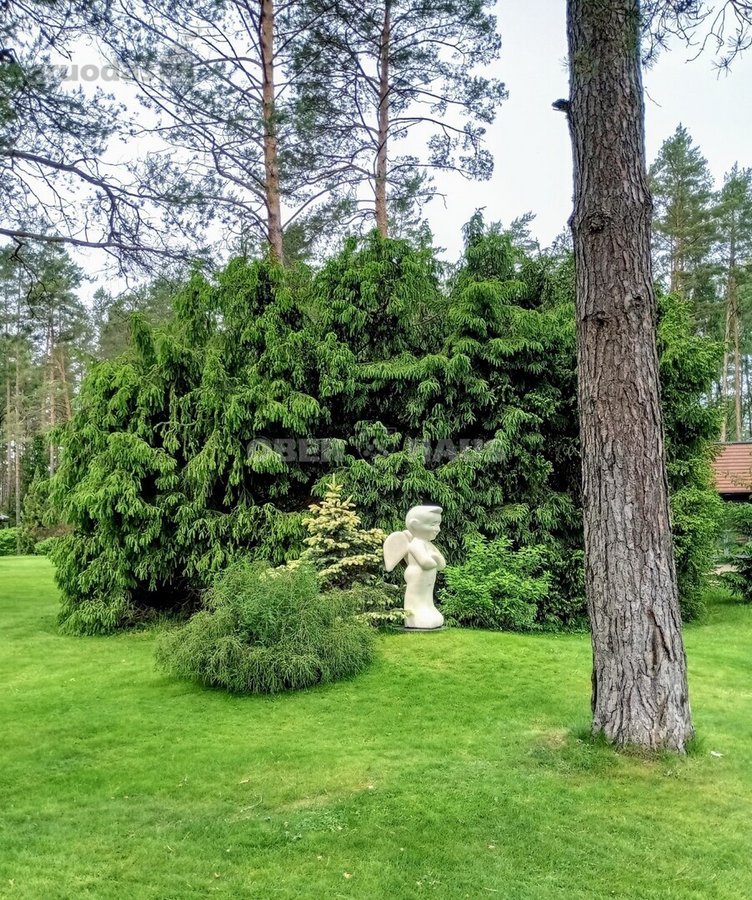 Vieta puikiai tinkama jūsų asmeniniam - nuotraukos Nr. 31