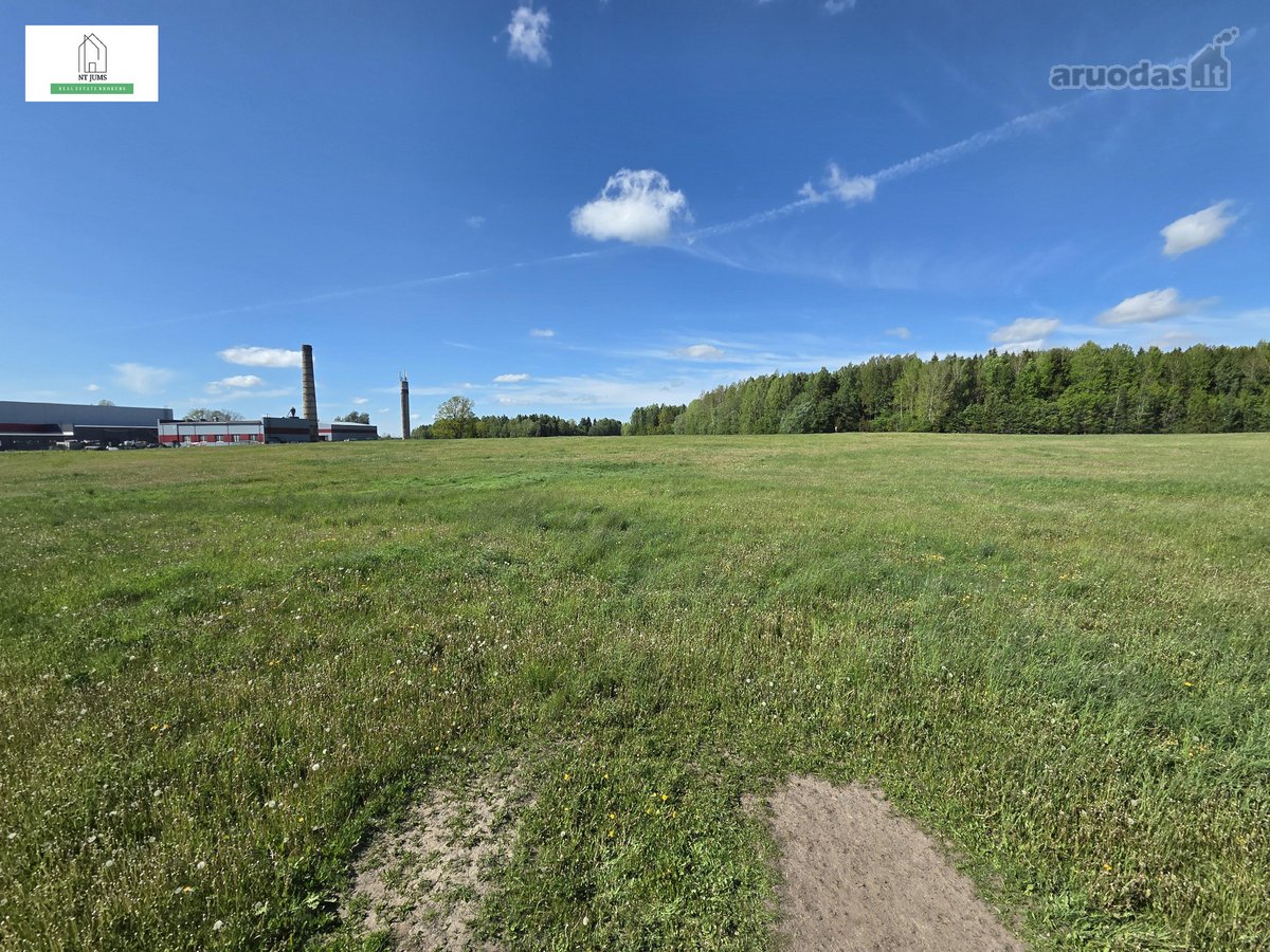 Parduodamas erdvus 2,14 ha sklypas – Jūsų - nuotraukos Nr. 3