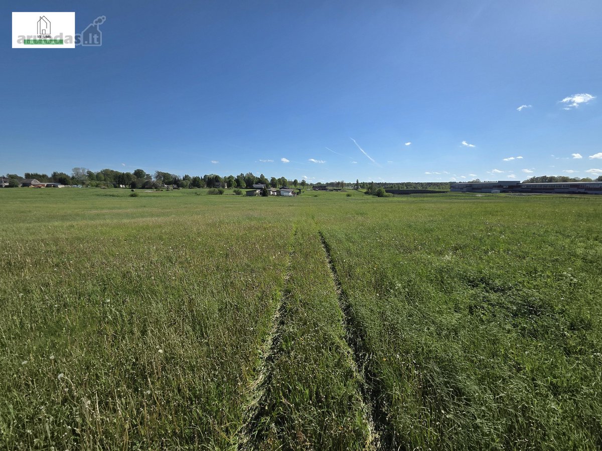 Parduodamas erdvus 2,14 ha sklypas – Jūsų - nuotraukos Nr. 6