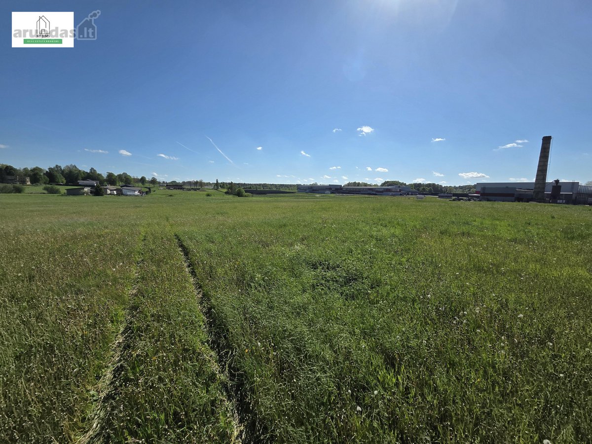 Parduodamas erdvus 2,14 ha sklypas – Jūsų - nuotraukos Nr. 8