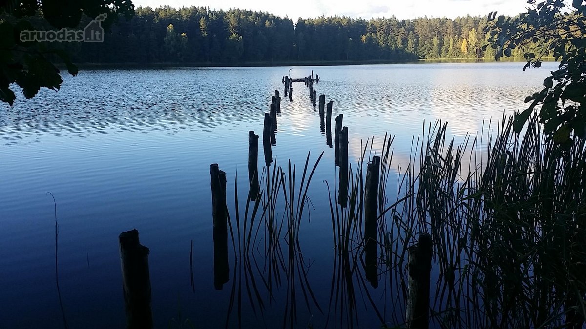 Parduodamas unikalus 31.53 a. namų valdos - nuotraukos Nr. 15