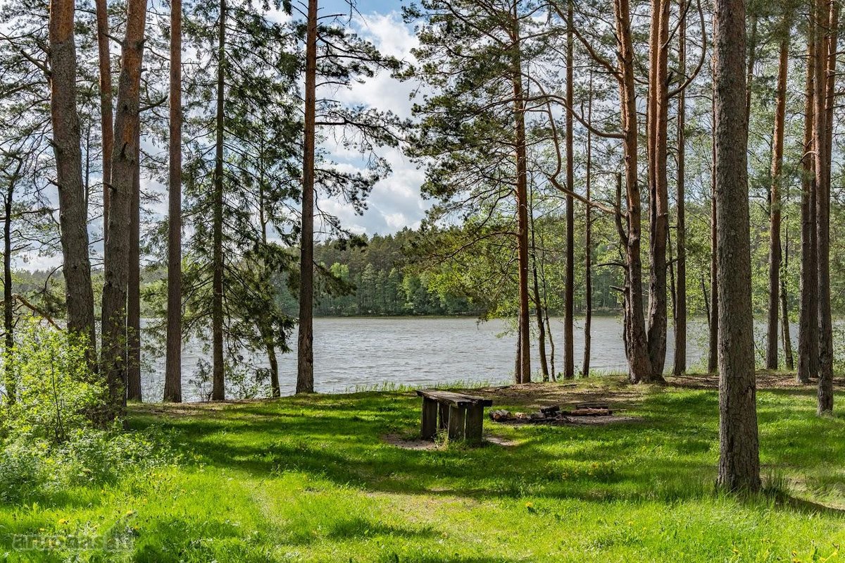 Parduodamas unikalus 31.53 a. namų valdos - nuotraukos Nr. 17
