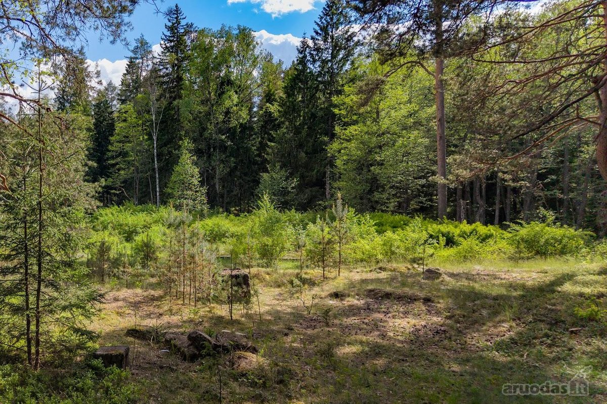 Parduodamas unikalus 31.53 a. namų valdos - nuotraukos Nr. 8