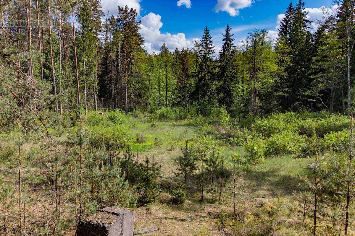 Parduodamas unikalus 31.53 a. namų valdos - nuotraukos Nr. 11