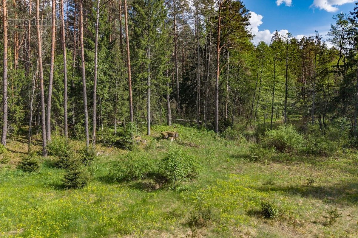 Parduodamas unikalus 31.53 a. namų valdos - nuotraukos Nr. 6