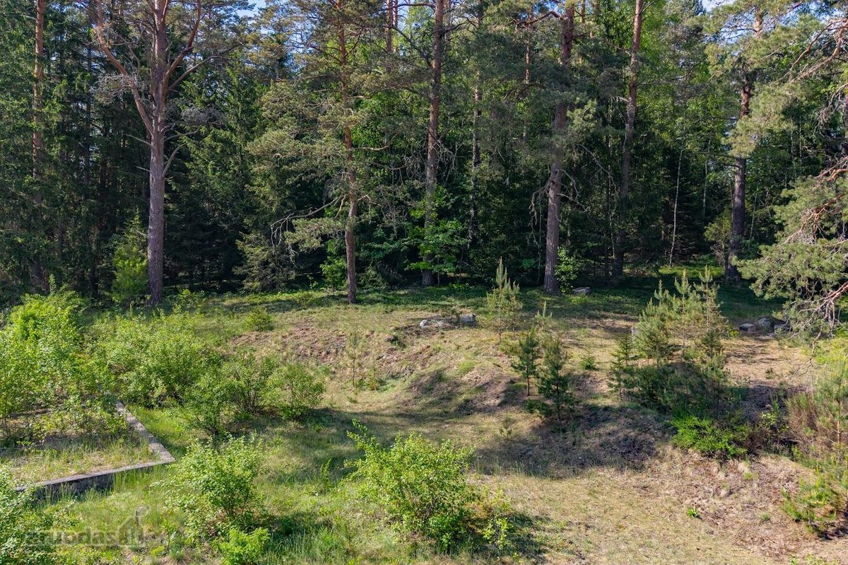 Parduodamas unikalus 31.53 a. namų valdos - nuotraukos Nr. 7