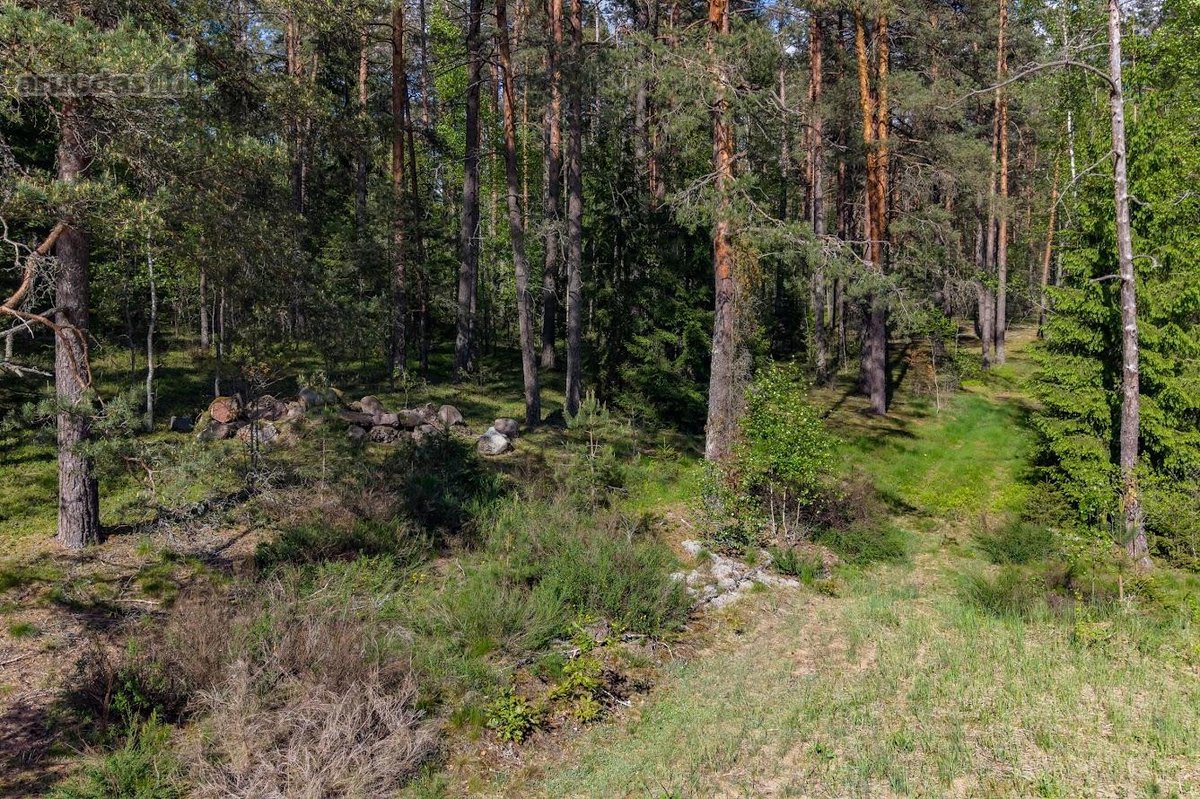 Parduodamas unikalus 31.53 a. namų valdos - nuotraukos Nr. 5