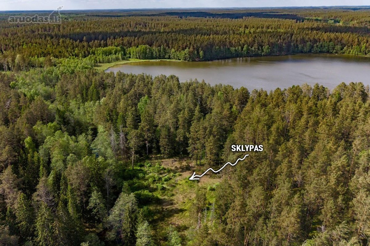 Parduodamas unikalus 31.53 a. namų valdos - nuotraukos Nr. 2