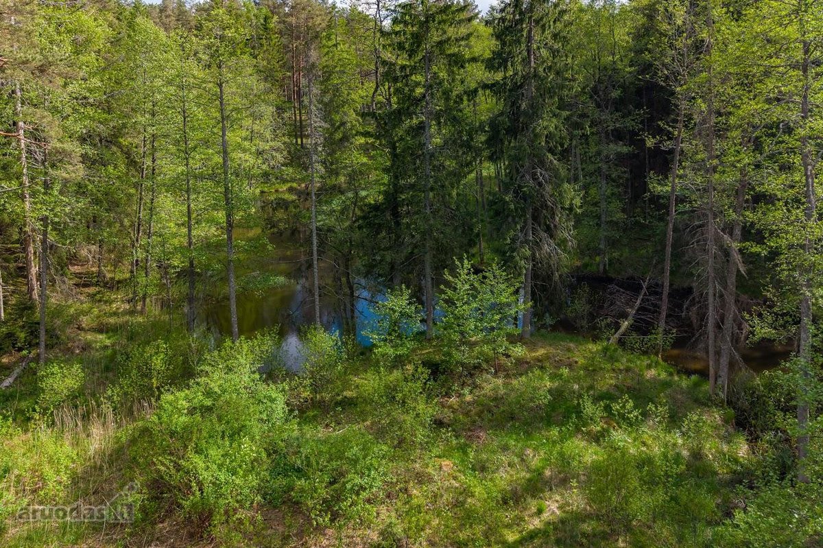 Parduodamas unikalus 31.53 a. namų valdos - nuotraukos Nr. 10