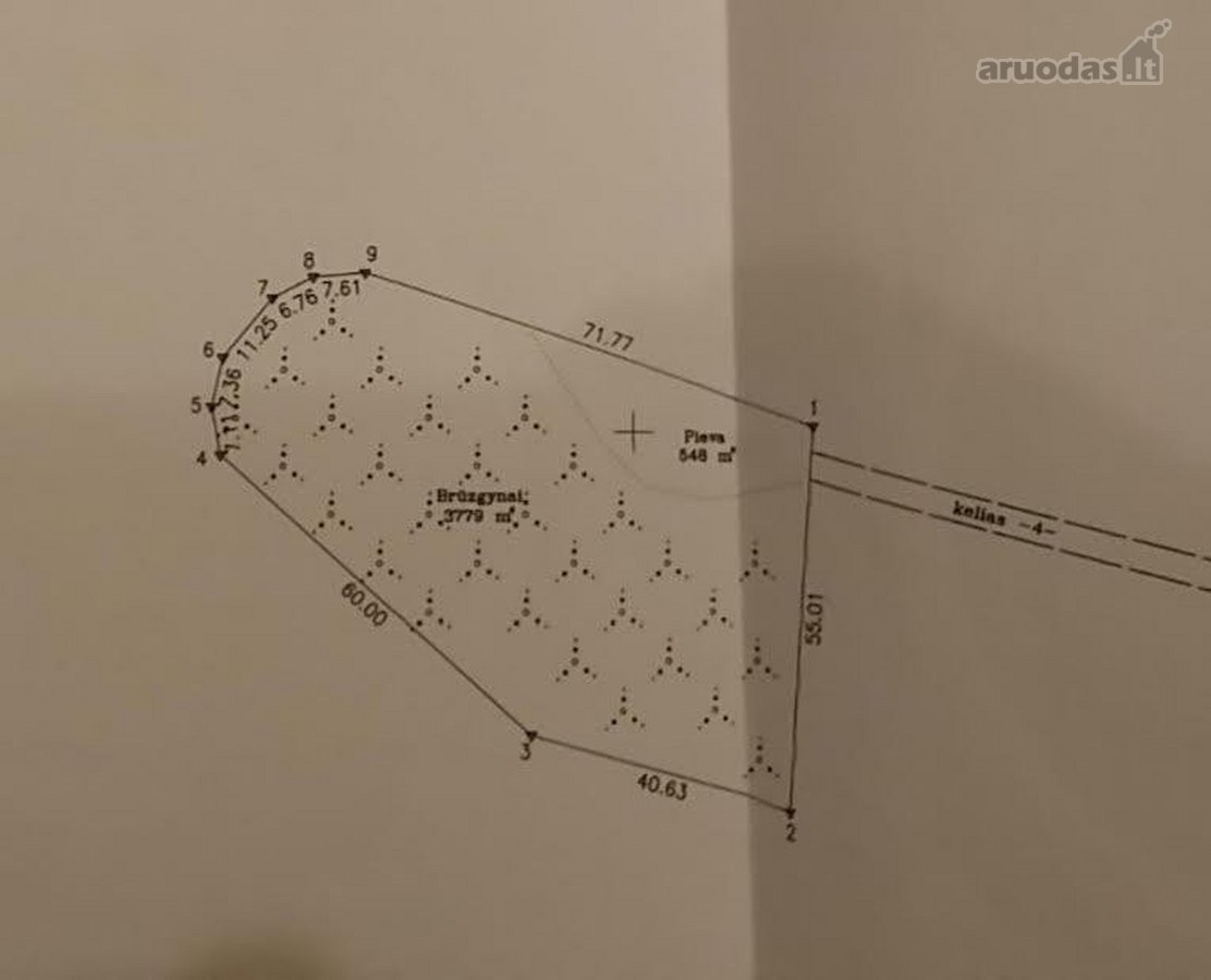 Parduodamas unikalus 31.53 a. namų valdos - nuotraukos Nr. 21