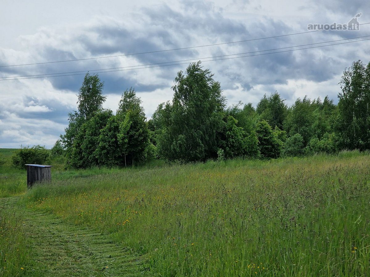 Parduodame sodybą - vienkiemį Alytaus raj. - nuotraukos Nr. 24