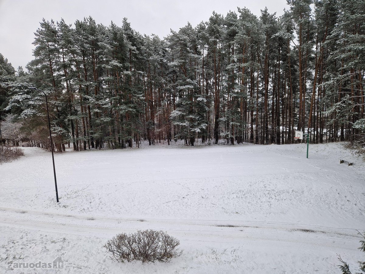 Naujas Penkių Kambarių butas Miške, Mieste, - nuotraukos Nr. 10
