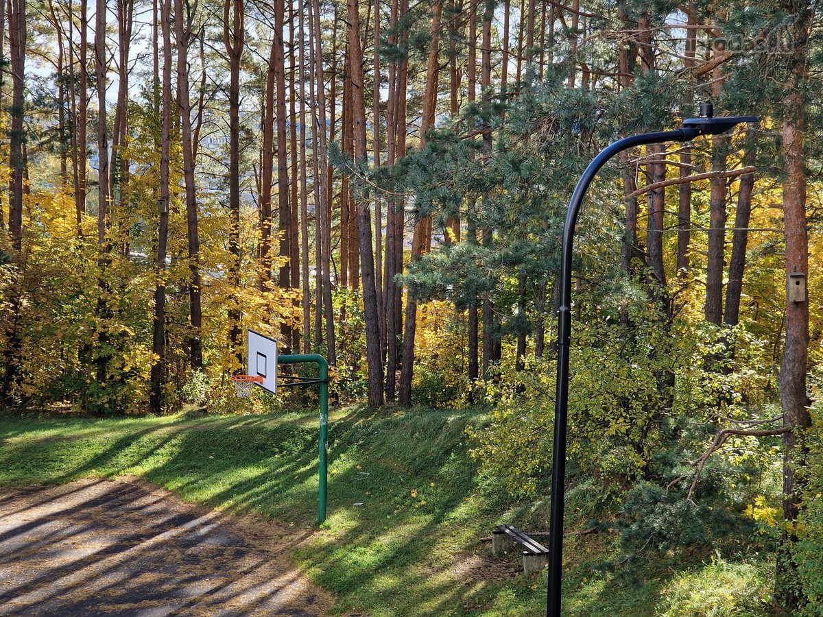 Naujas Penkių Kambarių butas Miške, Mieste, - nuotraukos Nr. 19