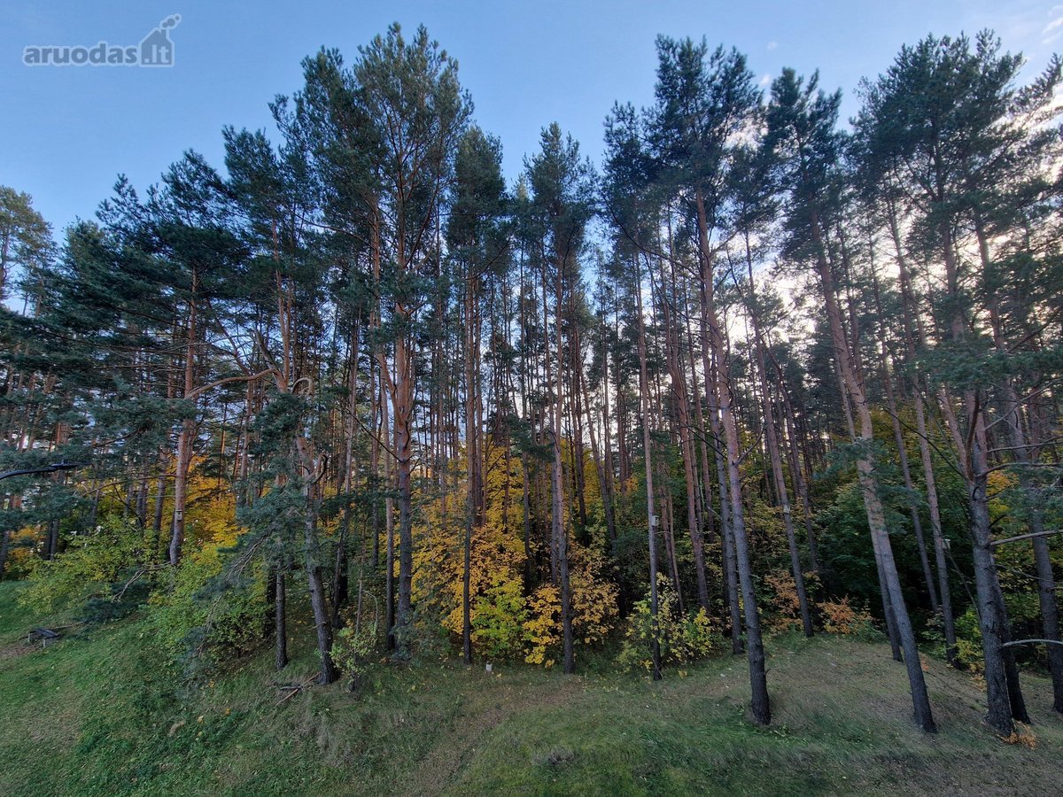 Naujas Penkių Kambarių butas Miške, Mieste, - nuotraukos Nr. 20