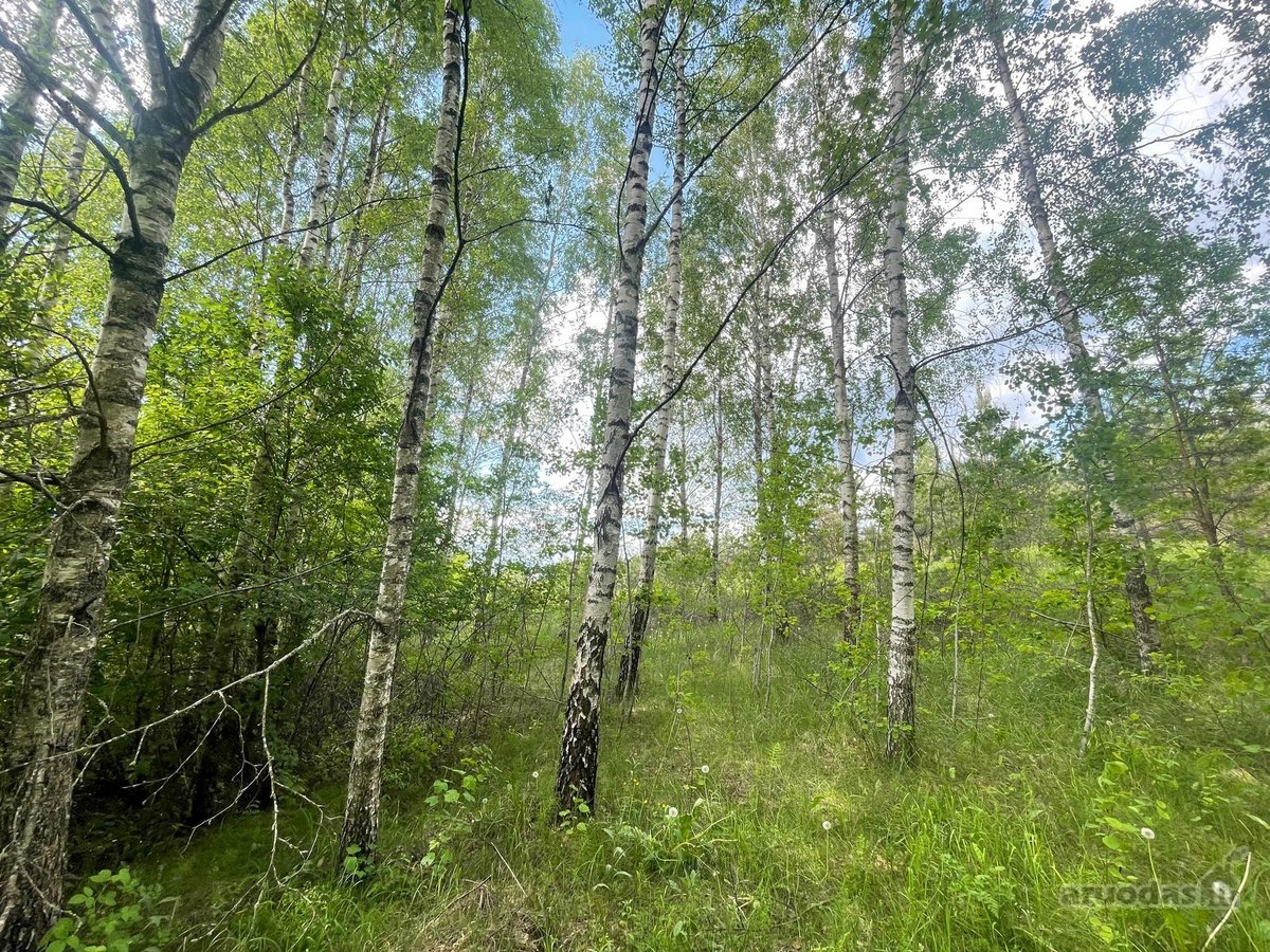 Parduodamas sklypas itin ramioje ir - nuotraukos Nr. 3