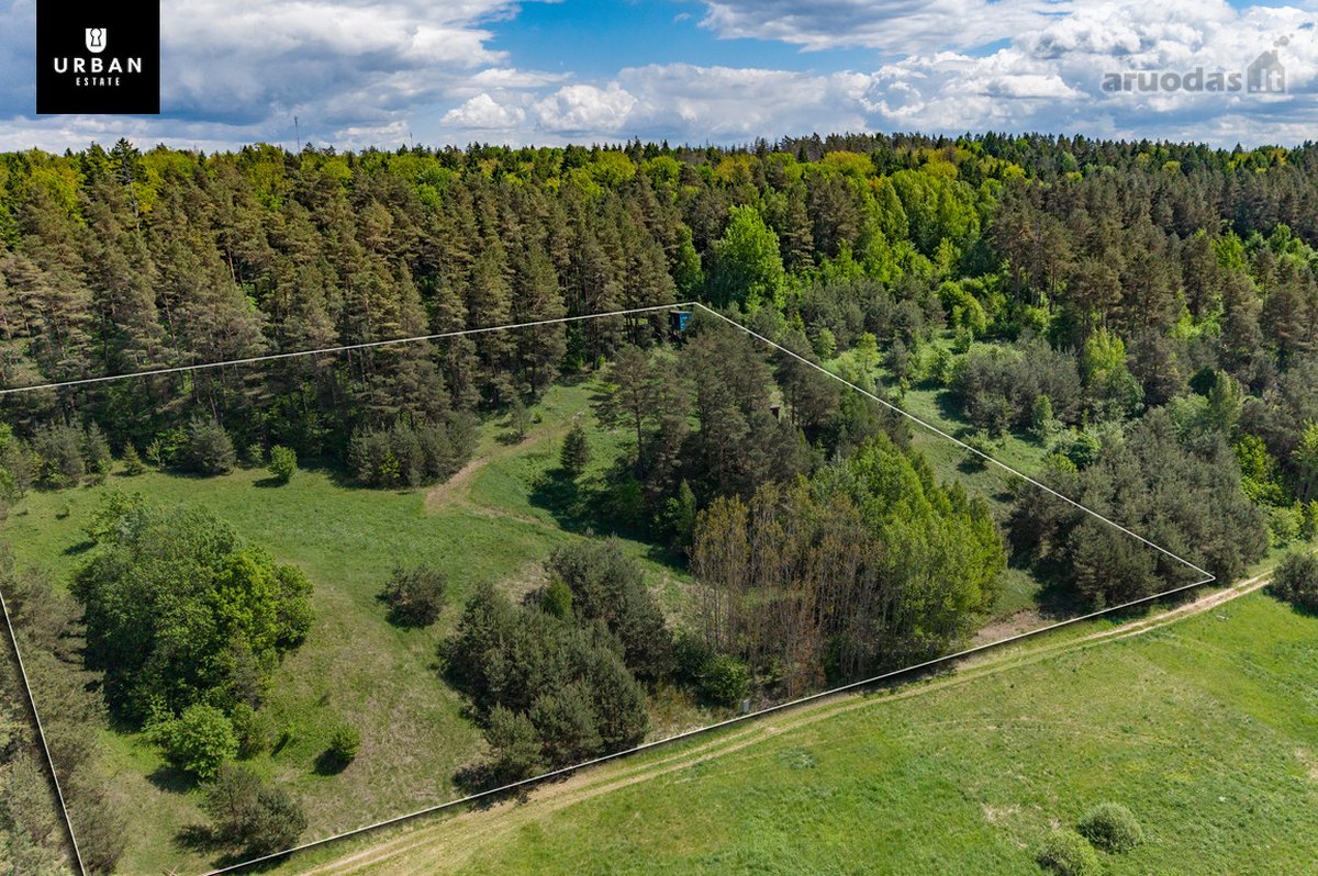 Žemės Ūkio Paskirties Sklypas Su Kaimo - nuotraukos Nr. 6