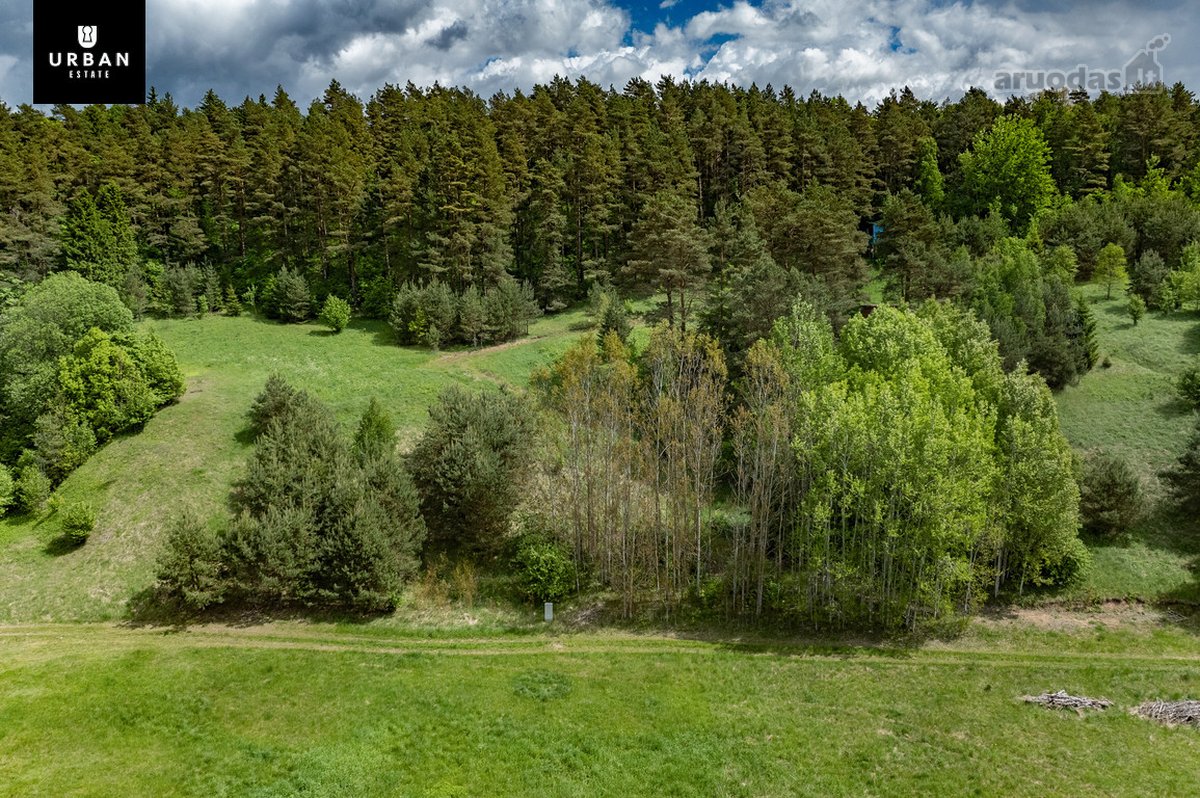 Žemės Ūkio Paskirties Sklypas Su Kaimo - nuotraukos Nr. 7