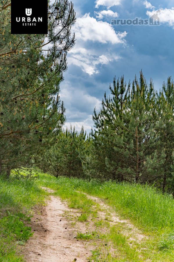 Žemės Ūkio Paskirties Sklypas Su Kaimo - nuotraukos Nr. 10