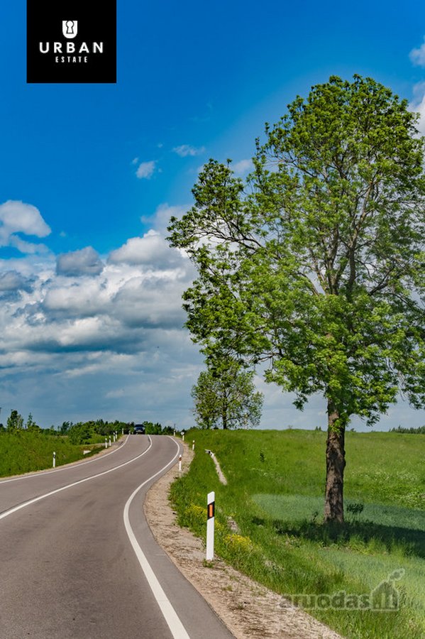 Žemės Ūkio Paskirties Sklypas Su Kaimo - nuotraukos Nr. 13