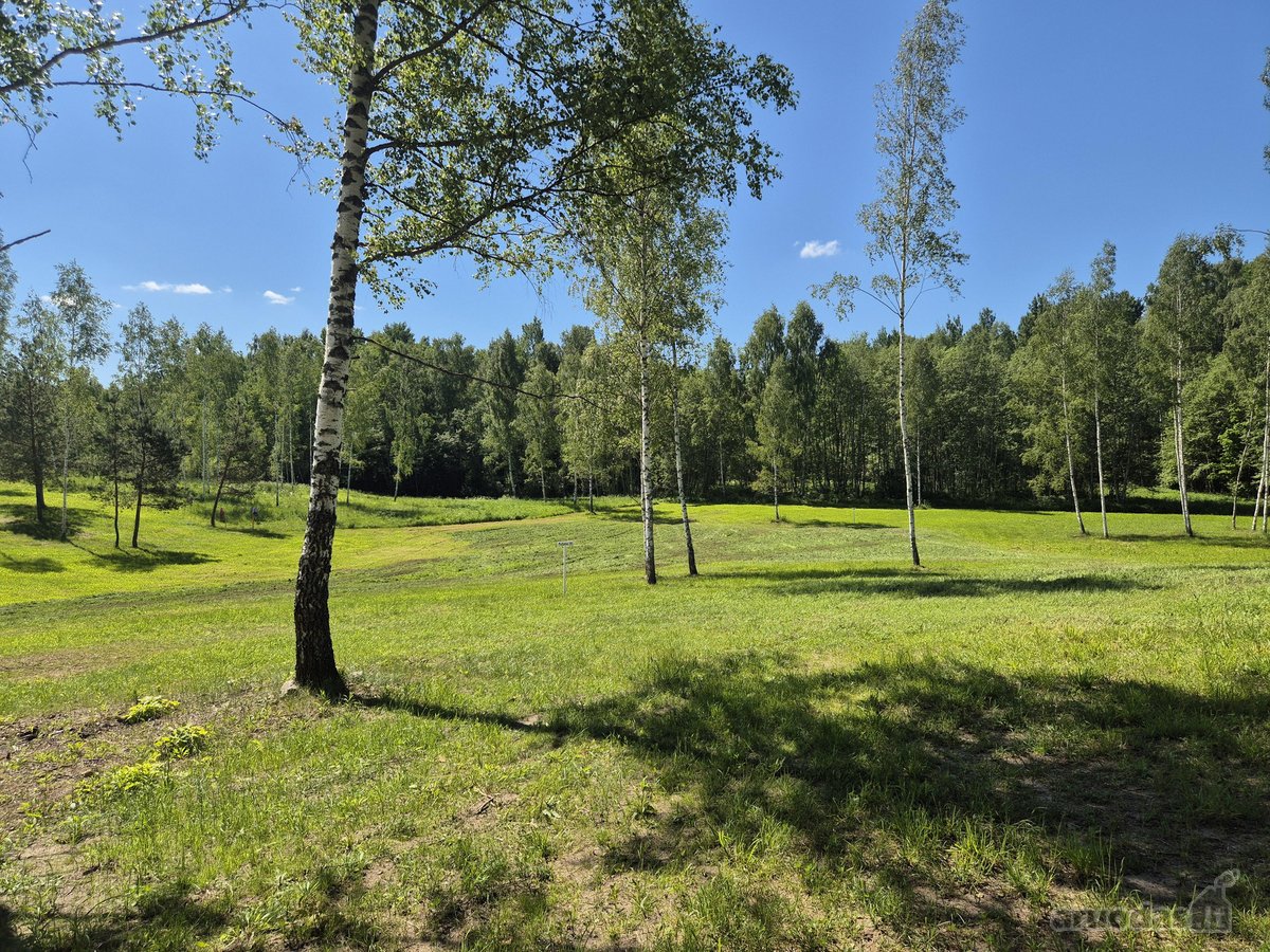 Parduodami 6 išskirtiniai namų valdos sklypai - nuotraukos Nr. 20