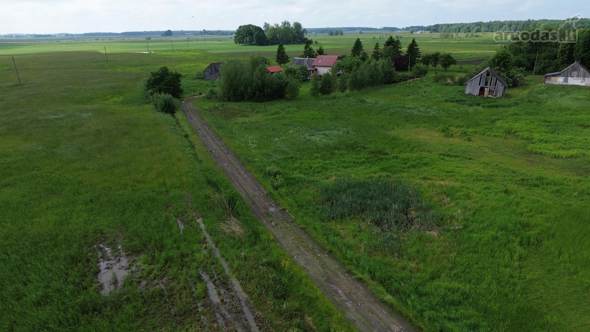 Parduodama Išskirtinė Sodyba Nemuno Deltos - nuotraukos Nr. 7