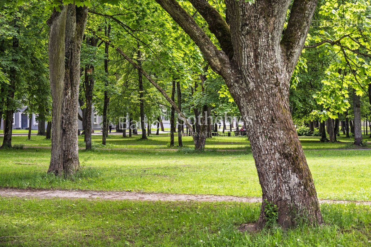Sapiegų Dominija – išskirtiniai apartamentai - nuotraukos Nr. 46