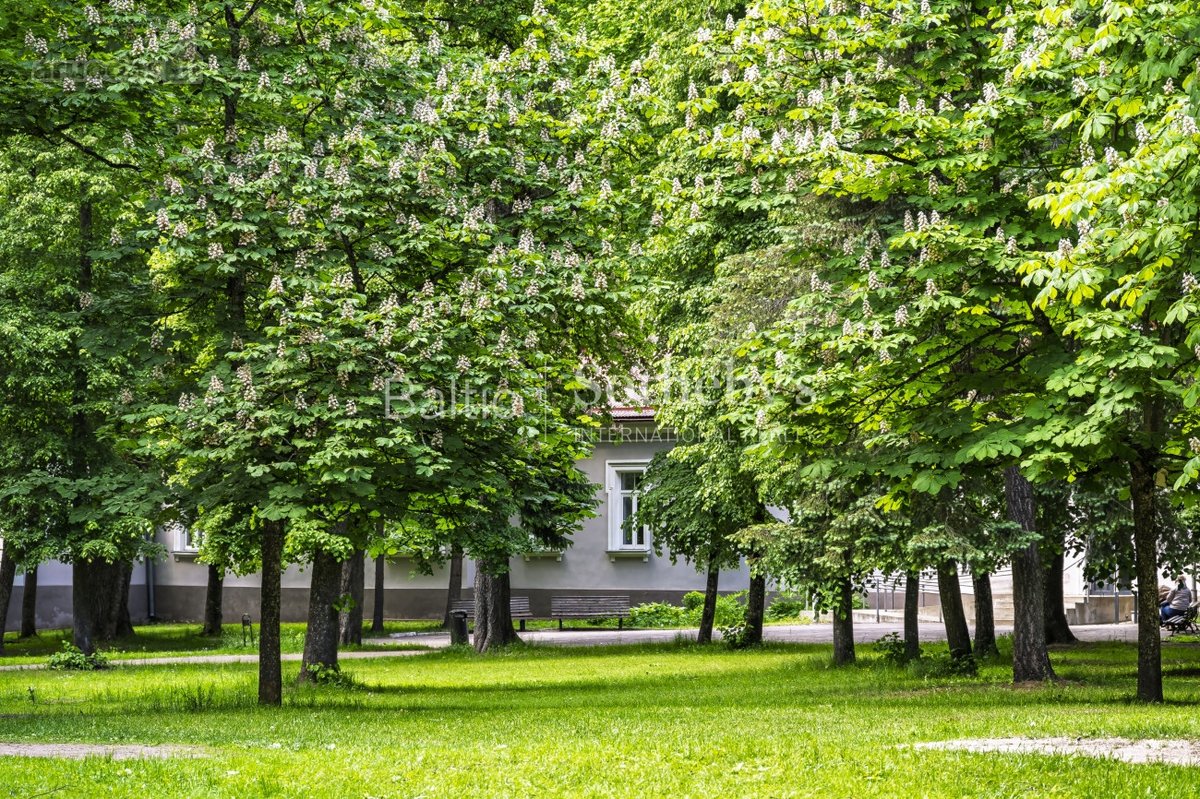Sapiegų Dominija – išskirtiniai apartamentai - nuotraukos Nr. 47