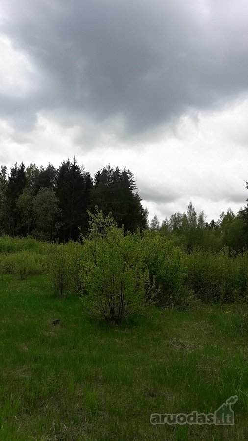 Sklypas yra vaziuojant senu Moletu