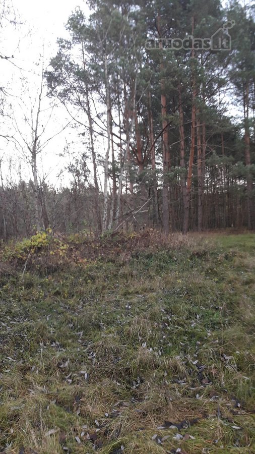 Sklypas yra vaziuojant senu Moletu - nuotraukos Nr. 4