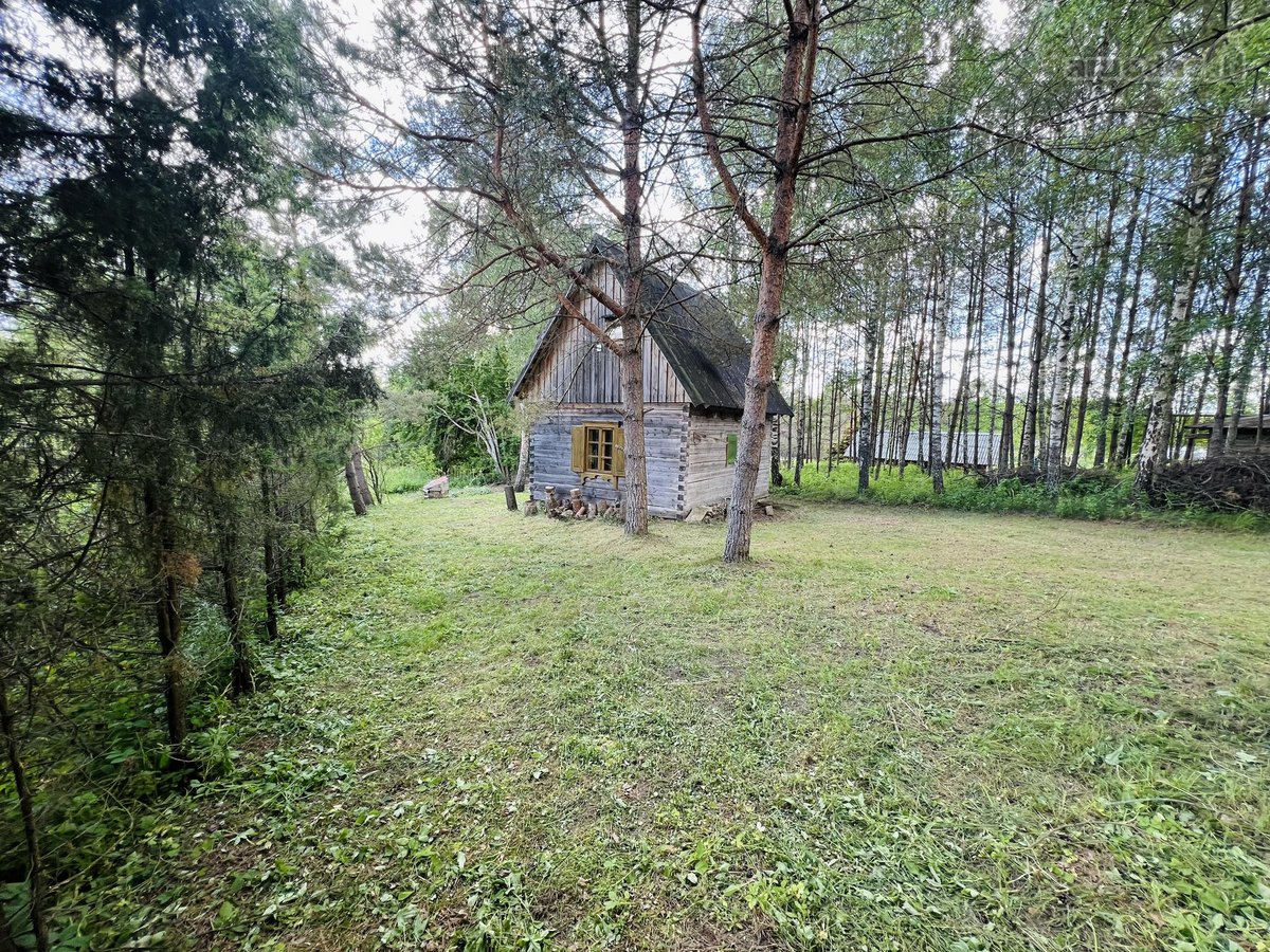Jauki sodyba Labanoro regiono pašonėje – - nuotraukos Nr. 8