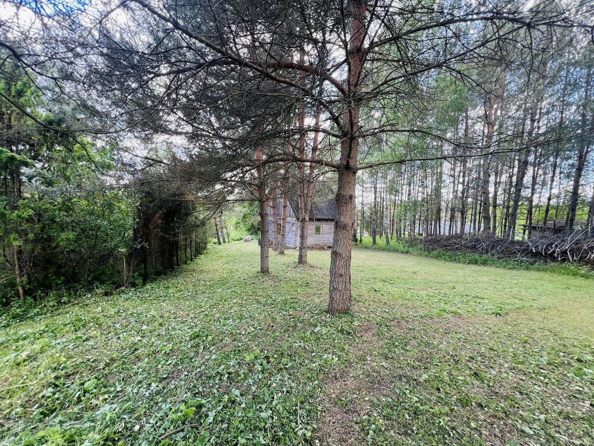 Jauki sodyba Labanoro regiono pašonėje – - nuotraukos Nr. 9
