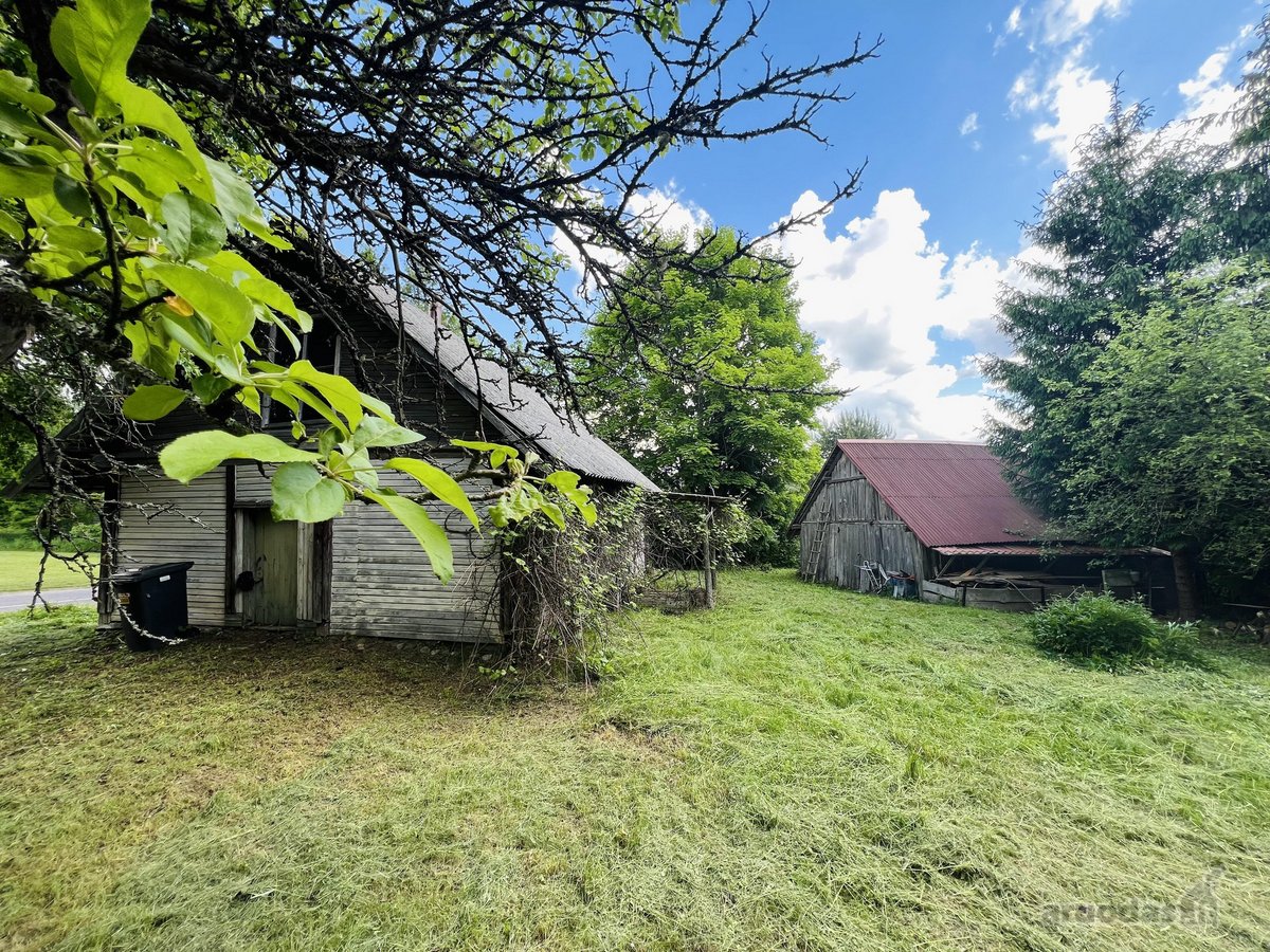 Jauki sodyba Labanoro regiono pašonėje – - nuotraukos Nr. 14