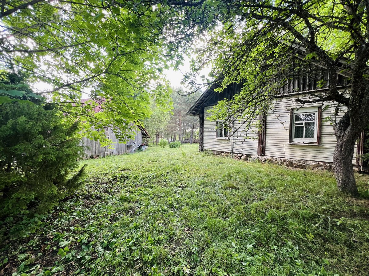 Jauki sodyba Labanoro regiono pašonėje – - nuotraukos Nr. 15