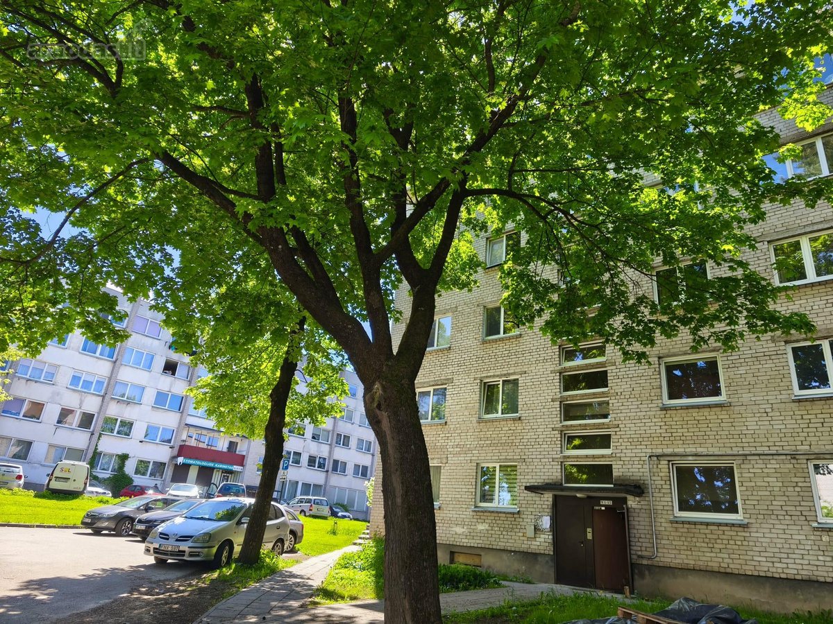 Butas viedinis. Langai i abi puses namo - nuotraukos Nr. 20