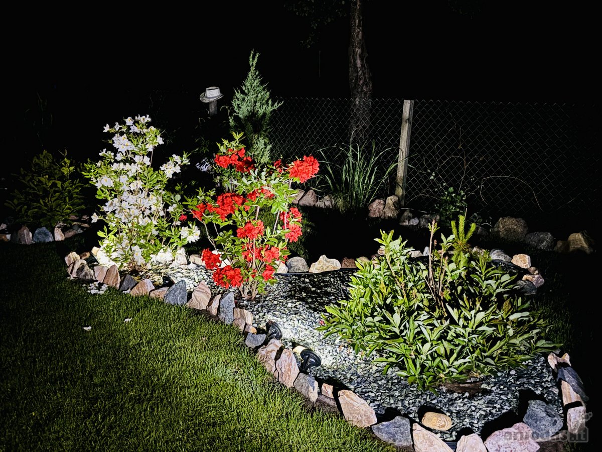 Gražus sodas. - nuotraukos Nr. 7