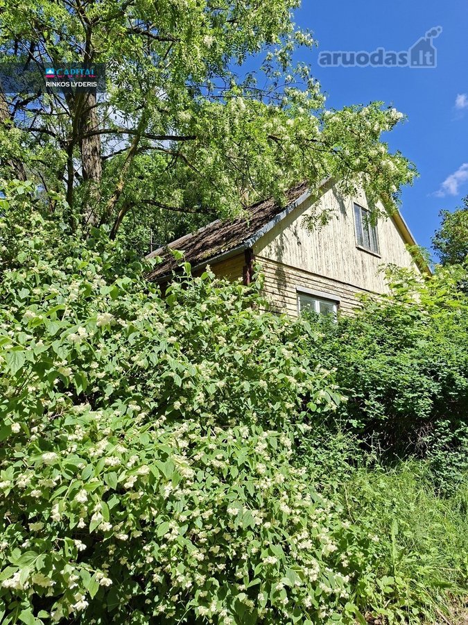 Žuvinto nacionalineme parke Marijampolės sav. - nuotraukos Nr. 7