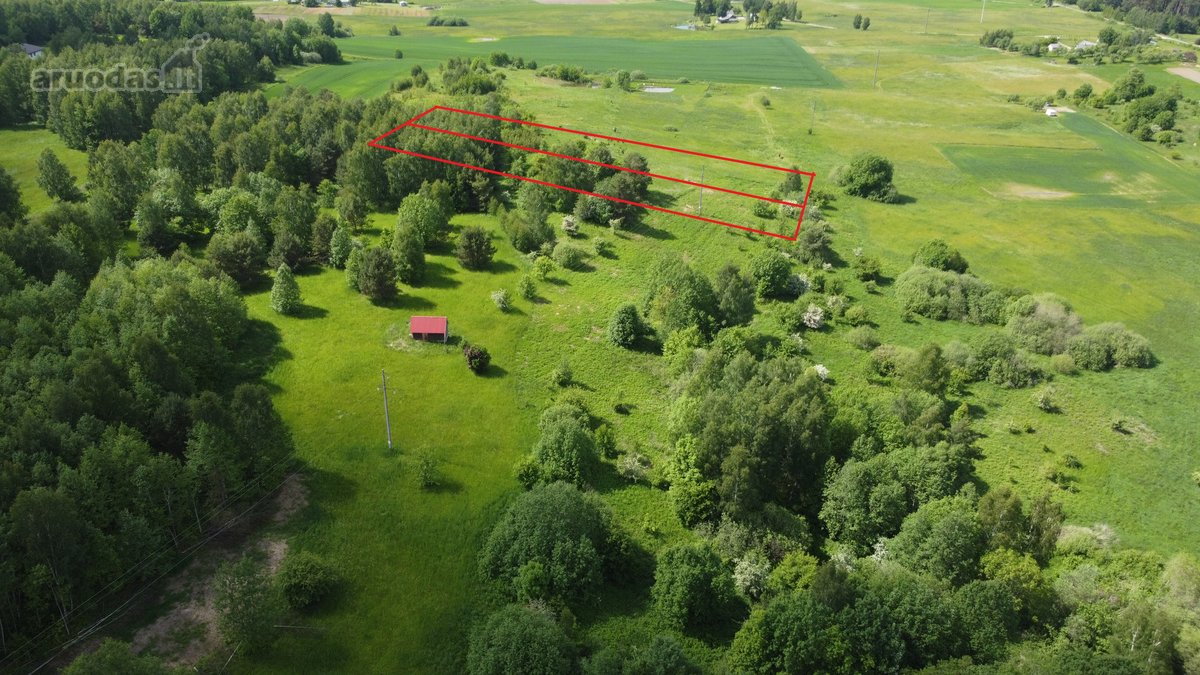Parduodami 2 besiribojantys namų valdos - nuotraukos Nr. 9