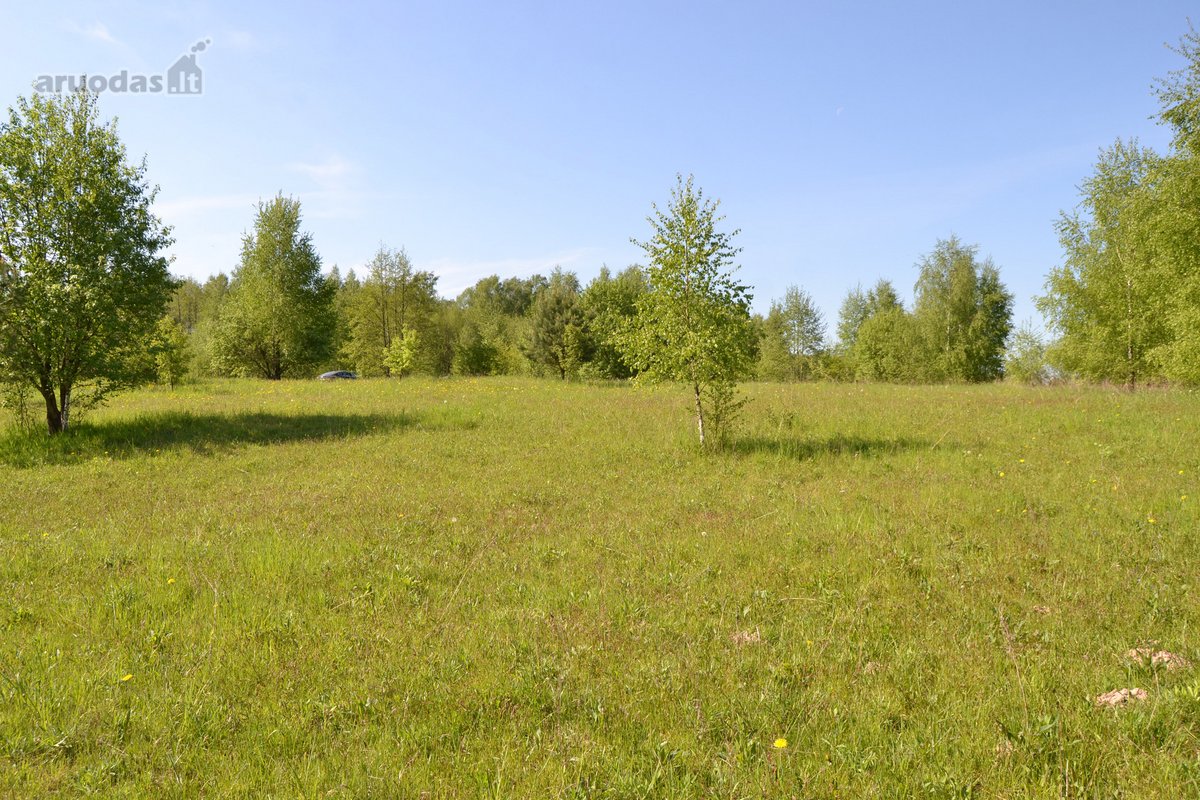 Parduodami 2 besiribojantys namų valdos - nuotraukos Nr. 7