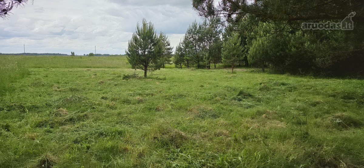 Vilniaus r. sav., Juodbalių k.