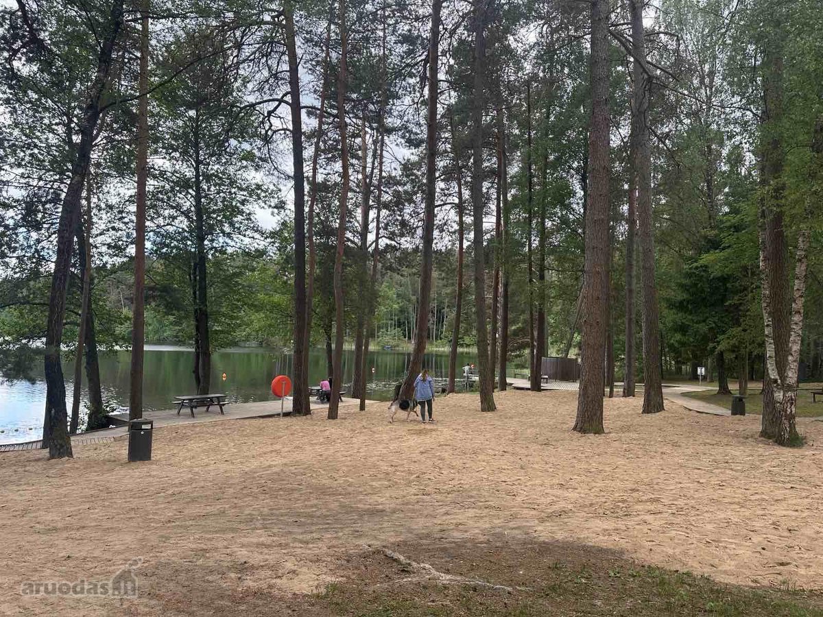 Apsupti Nemenčinės miškų, greta Tapelių - nuotraukos Nr. 10