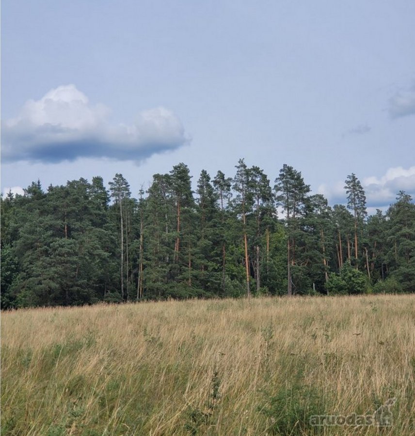 4.7ha Prie Nemuno, du sklypai 1.1ha ir 3.6ha - nuotraukos Nr. 4