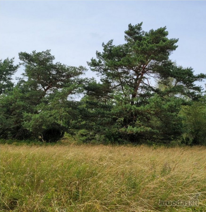 4.7ha Prie Nemuno, du sklypai 1.1ha ir 3.6ha - nuotraukos Nr. 6