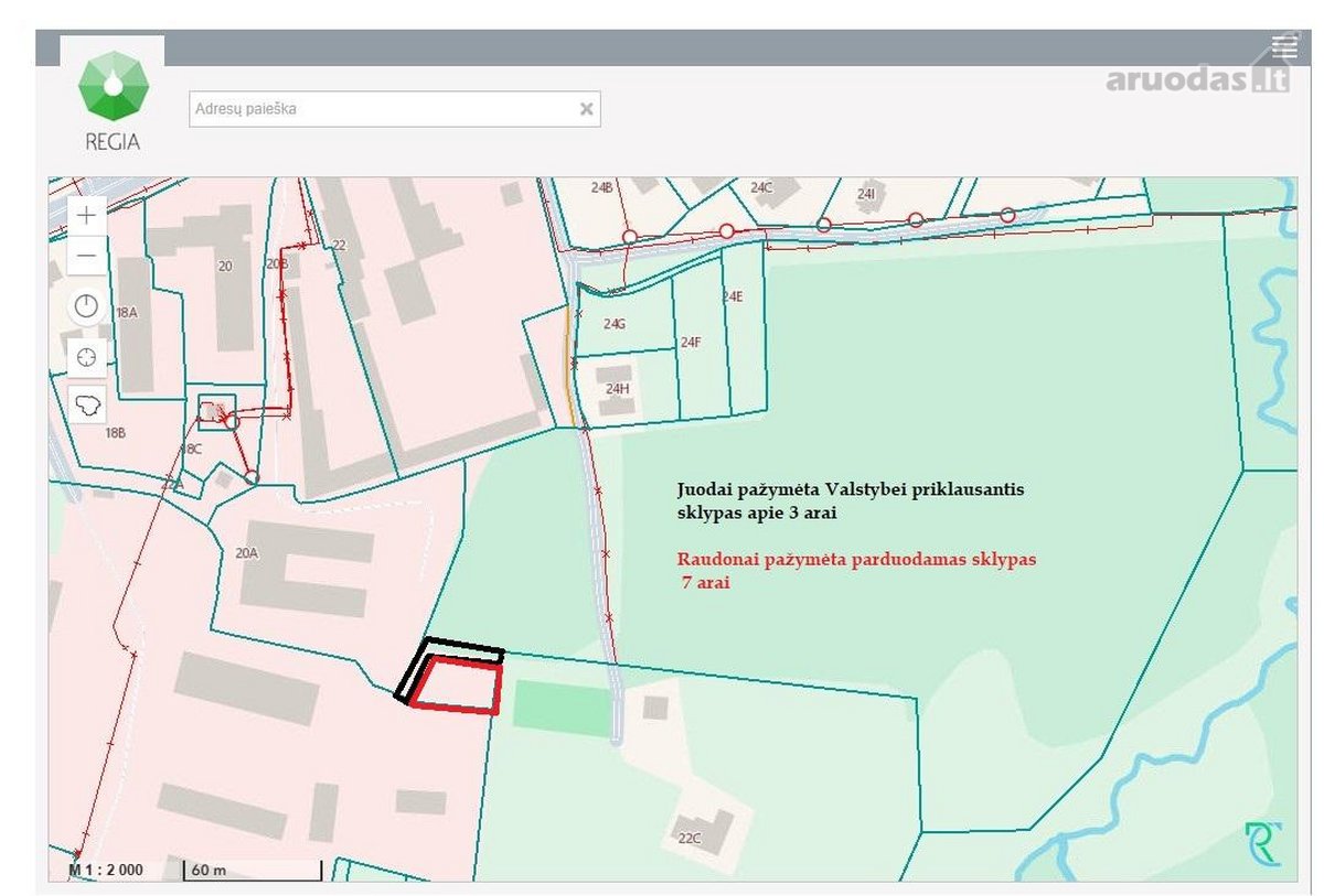 Ribojasi su Pušynu, 200 metrų iki tvenkinio - nuotraukos Nr. 5