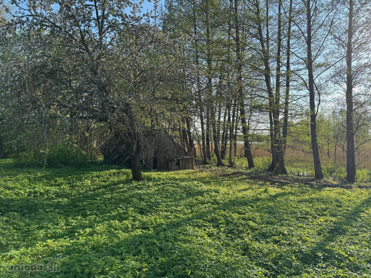 Parduodamas išskirtinėje vietoje esantis - nuotraukos Nr. 17