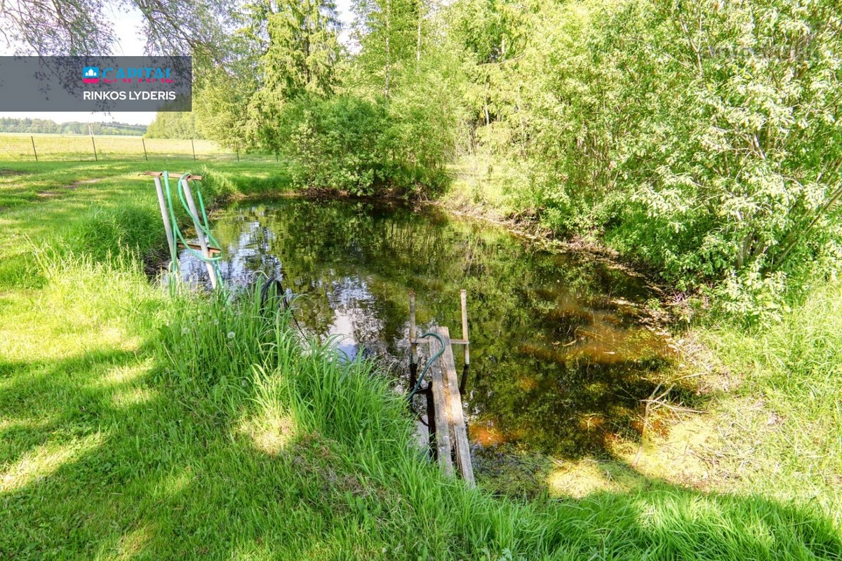 Šalia Miško, 18 Km Nutolusi Nuo Panevėžio - nuotraukos Nr. 11