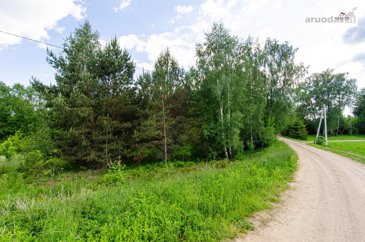 Parduodamas vaizdingas 47,85 a. žemės sklypas - nuotraukos Nr. 17