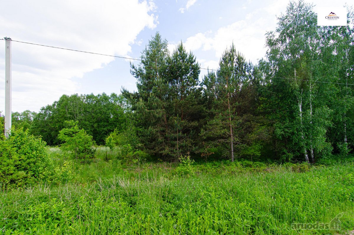Parduodamas vaizdingas 47,85 a. žemės sklypas - nuotraukos Nr. 18