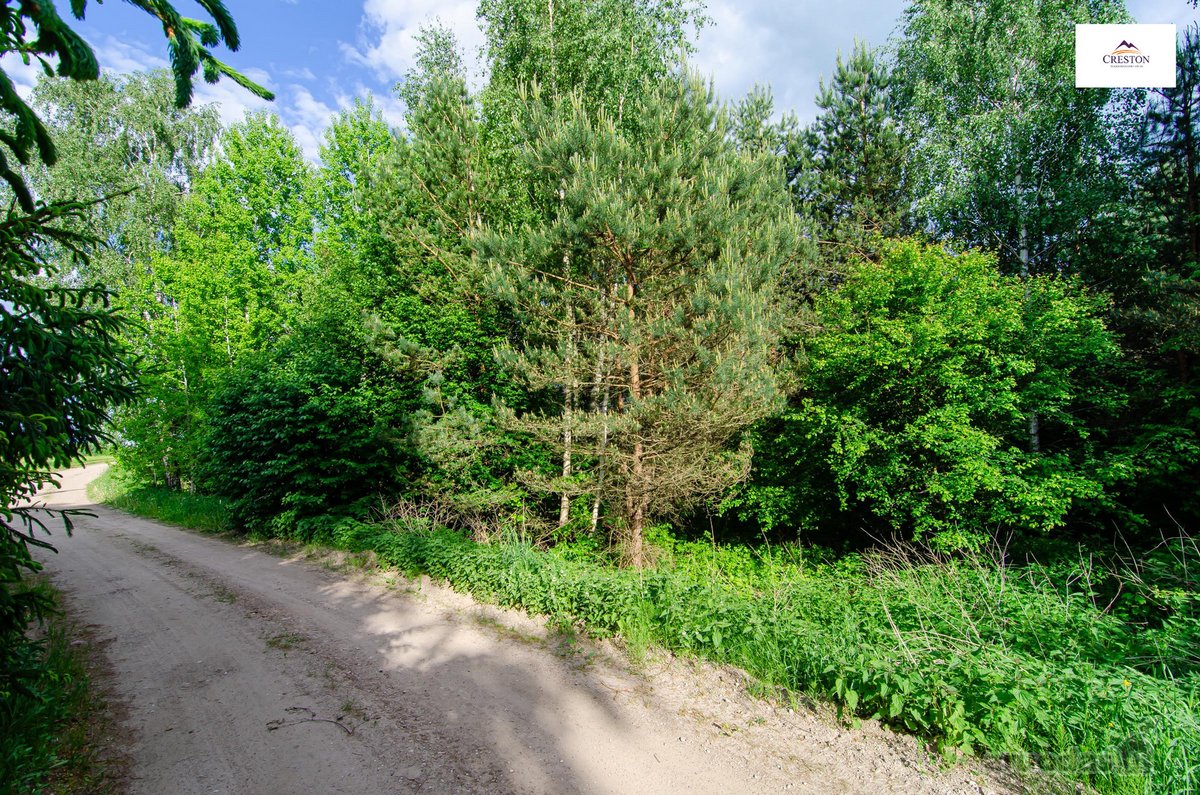 Parduodamas vaizdingas 47,85 a. žemės sklypas - nuotraukos Nr. 19